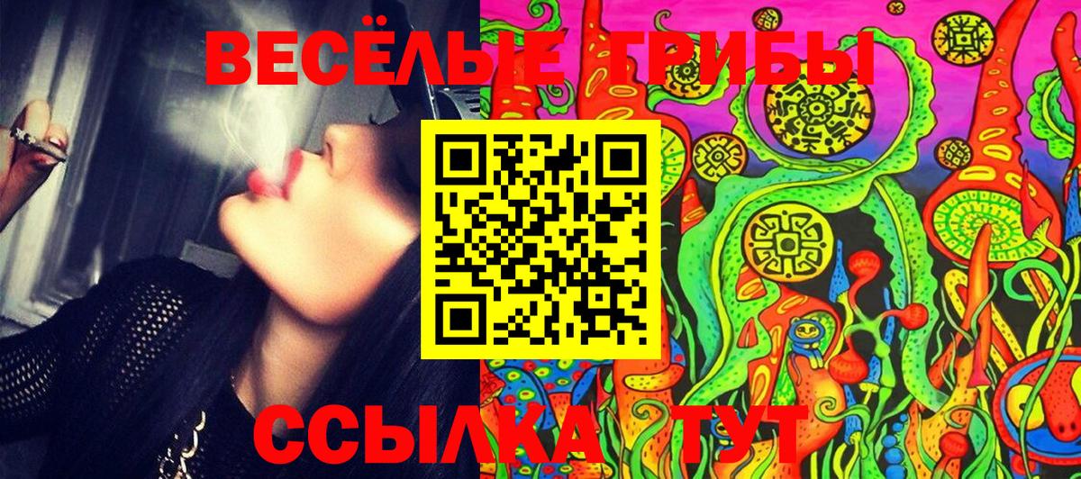Псилоцибиновые грибы Psilocybe  Псилоцибиновые грибы прущие грибы  Красный Сулин  Вход с VPN 