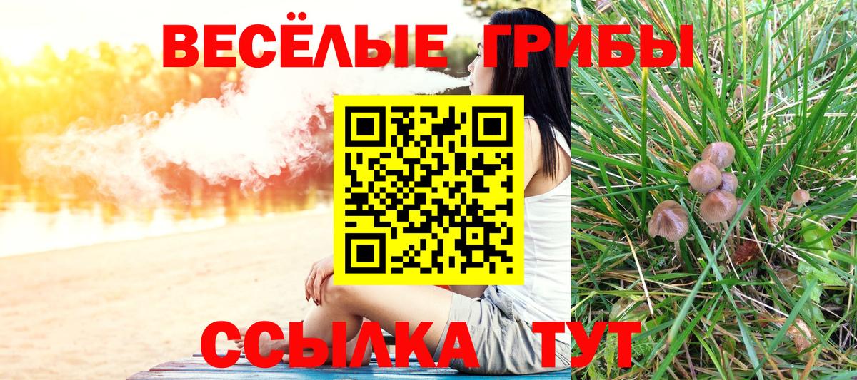 Галлюциногенные грибы мухоморы Красный Сулин